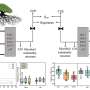 Effects of organic matter input and temperature change on soil aggregate-associated respiration and microbial carbon use