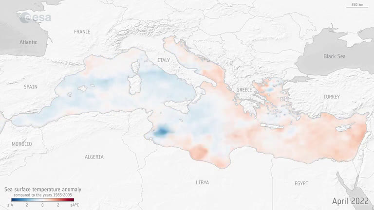 Mediterranean Sea Ecosystem Threatened by Heat-Induced 'Marine