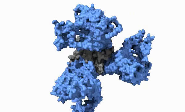 Scientists See an Ultra-Fast Movement on Surface of HIV Virus